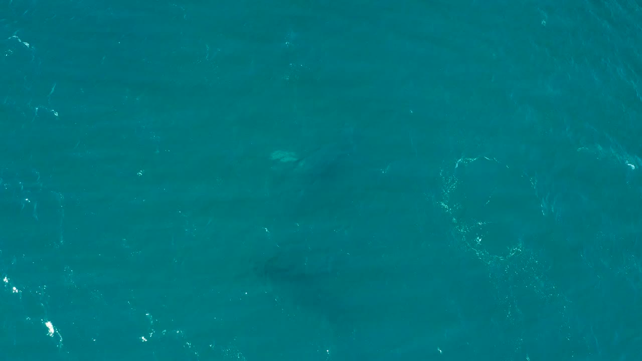 Top-down El Tule Los Cabos ocean frame with turquoise water, thin white surface streaks, faint underwater shadowing, and no visible people.
