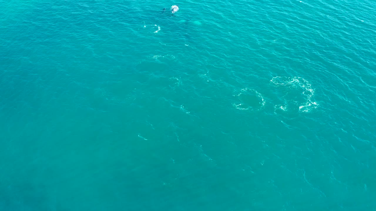Overhead view of turquoise ocean at El Tule Los Cabos with faint dark underwater forms, scattered white surface marks, circular bubbles, and no visible people.