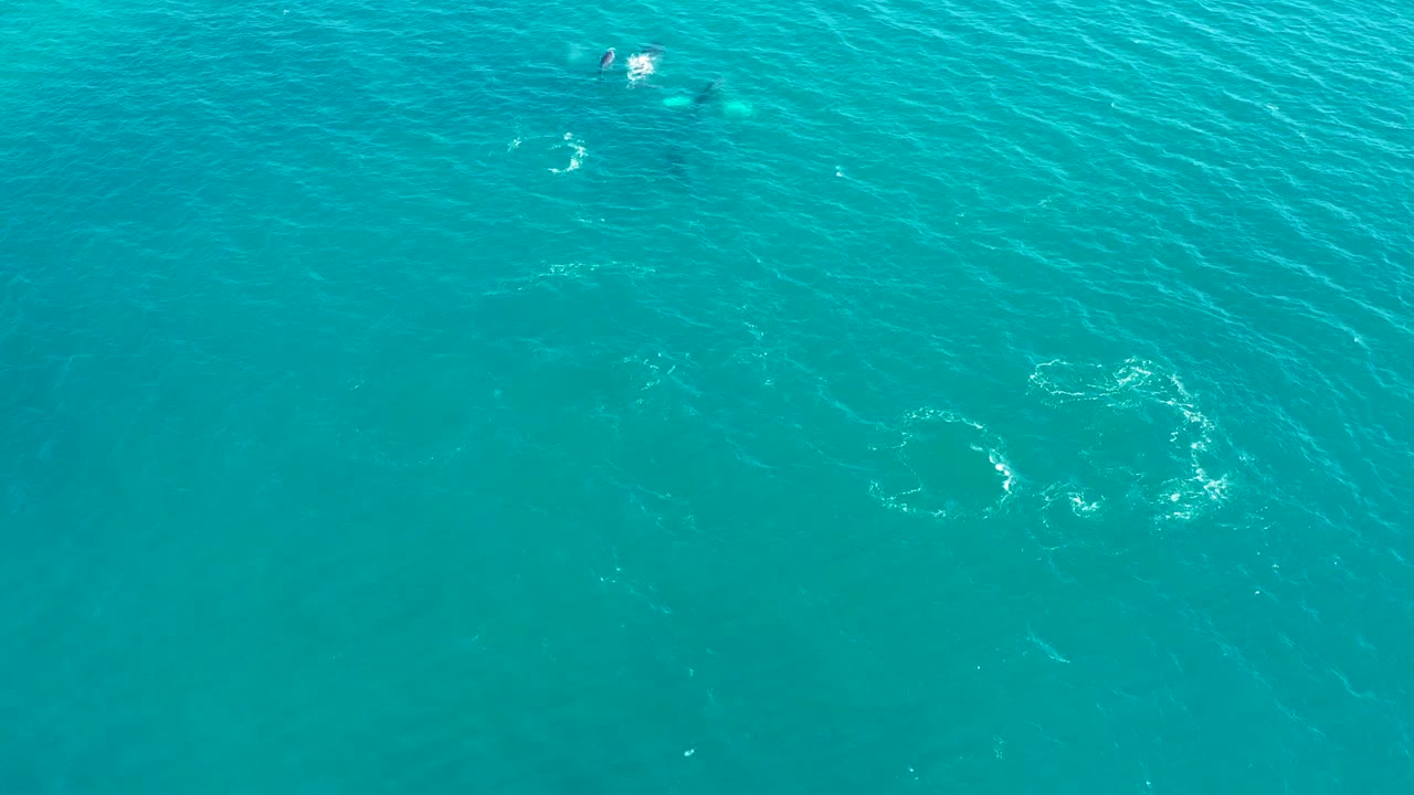 Overhead El Tule Los Cabos ocean view with a white splash near the upper frame, faint submerged marks, rippled turquoise water, and no visible people.
