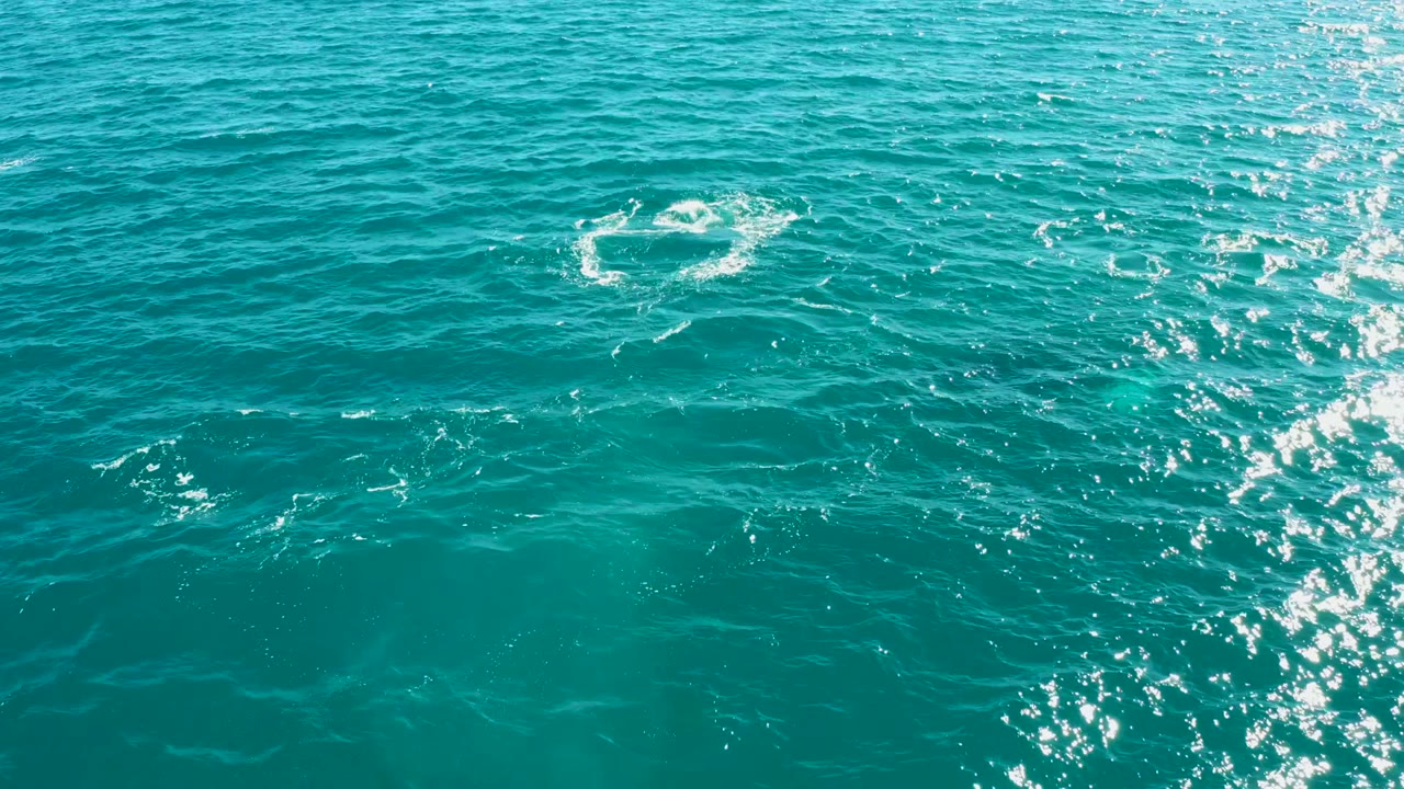 The white bubble ring remains near the upper center of the El Tule Los Cabos ocean frame, surrounded by darker teal ripples and scattered sunlight, with no visible people.