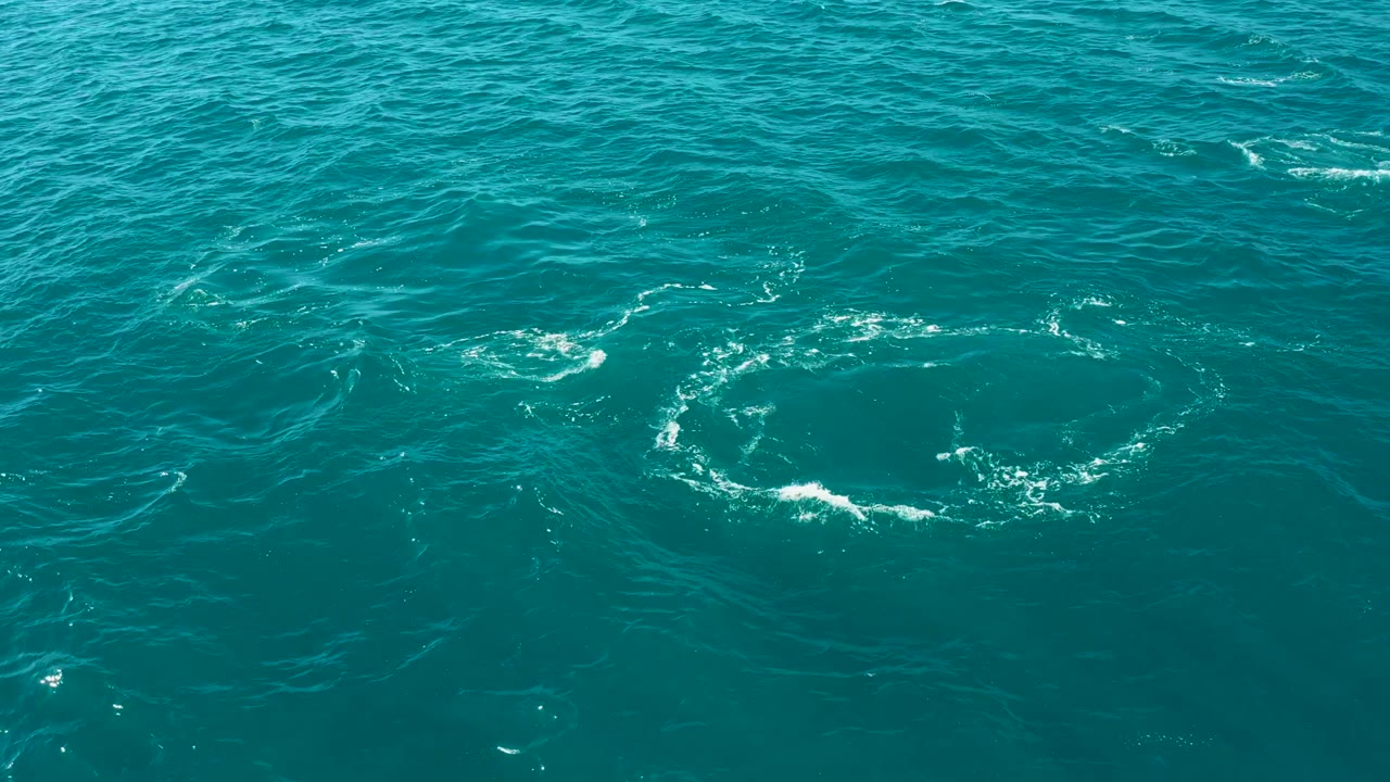 Overhead view of turquoise ocean at El Tule Los Cabos with a loose white foam circle forming left of center and no visible people.