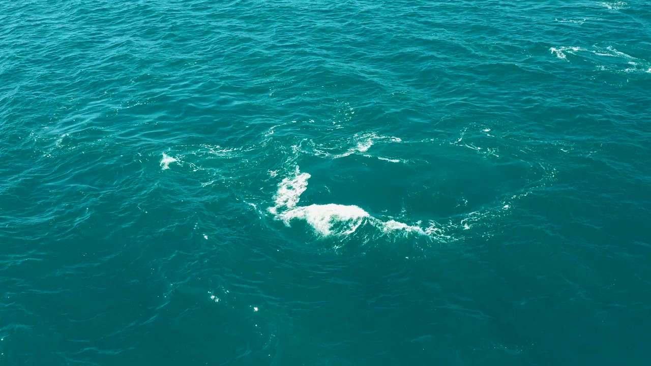 Overhead El Tule Los Cabos ocean frame with broken white foam streaks on the right and darker rippled water around them, with no visible people.