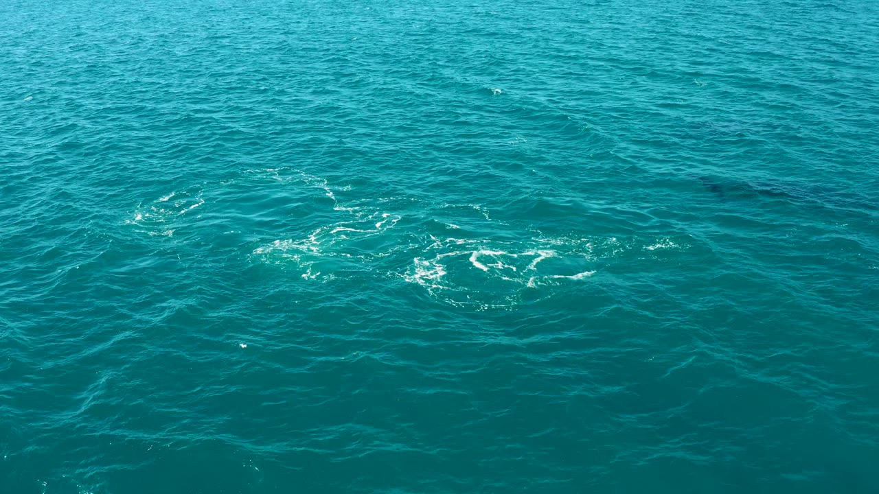 Turquoise ocean surface at El Tule Los Cabos with scattered white foam rings and no visible people.