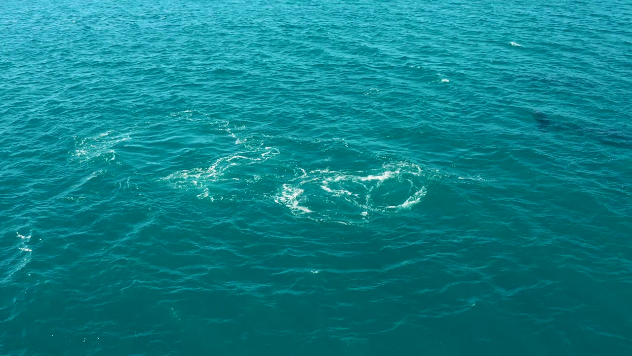 White circular foam pattern on rippled turquoise water.