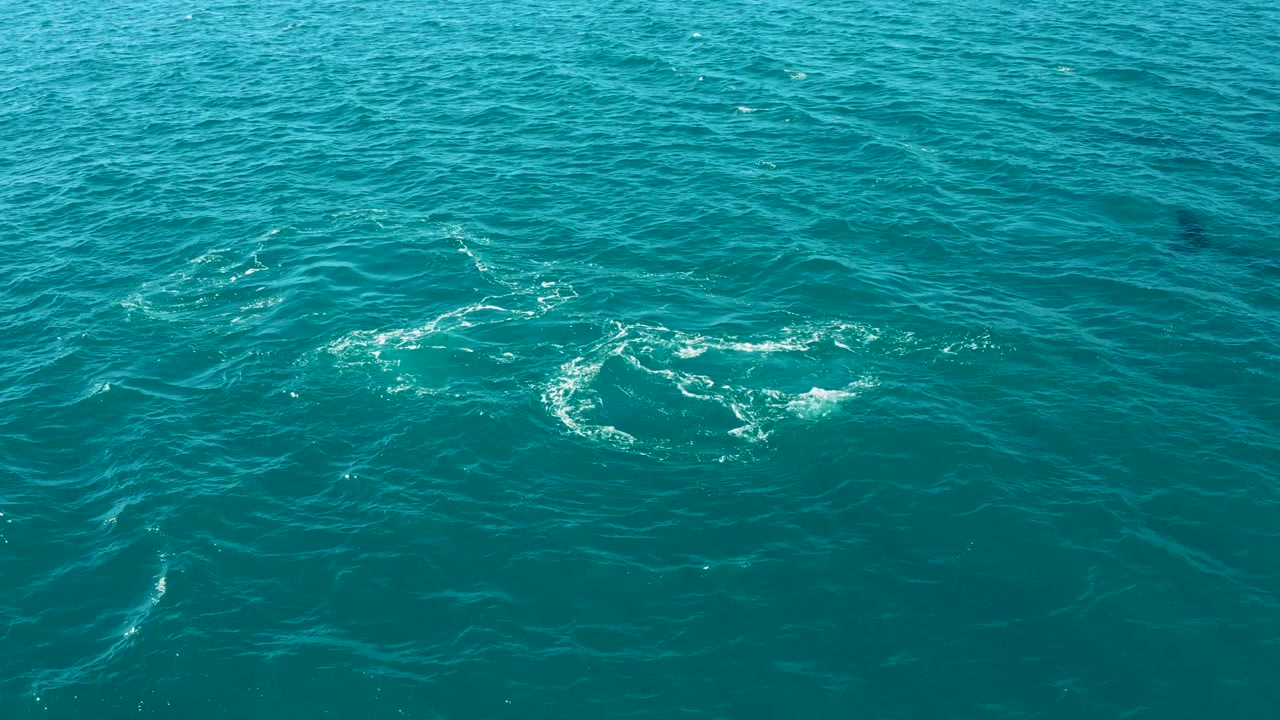 Turquoise water at El Tule Los Cabos shows a loose white foam swirl across the rippled surface, with no visible people.