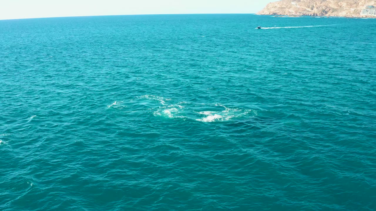 Open turquoise water with circular splashes below a distant boat wake.