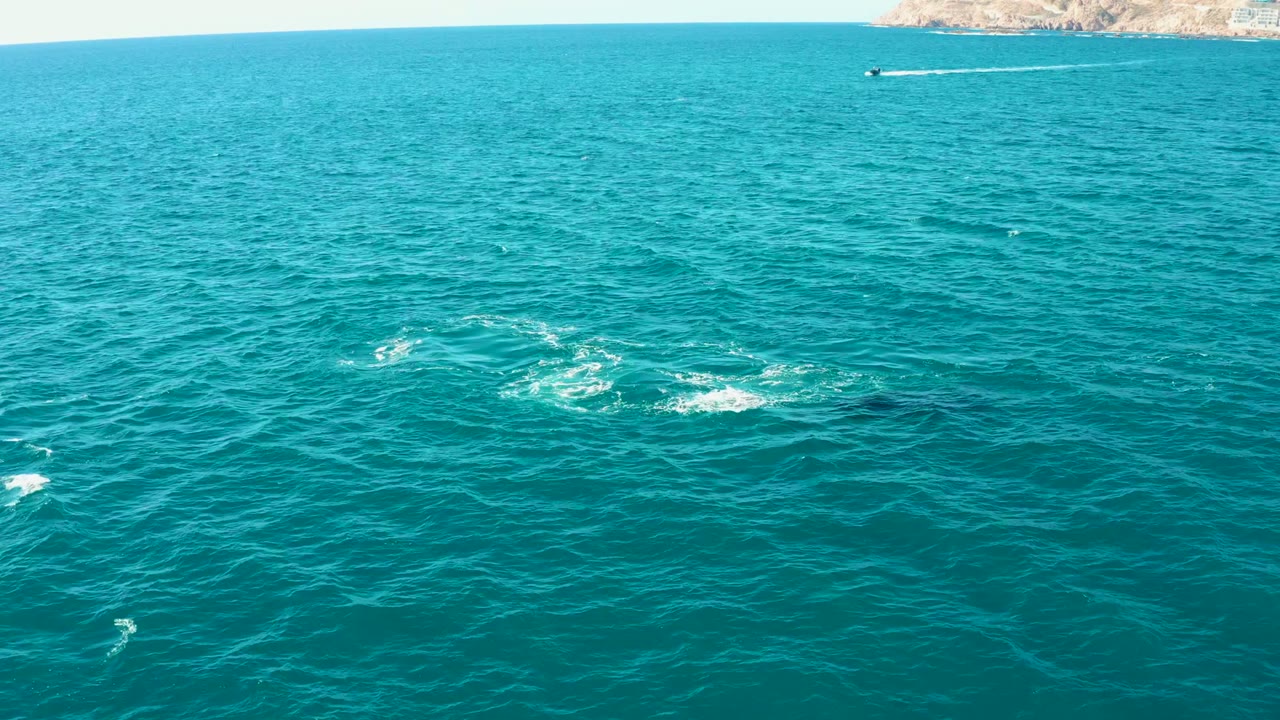 Aerial view over El Tule Los Cabos ocean water with scattered marine-animal splashes in the midground, a small boat near the top edge, and no visible people.