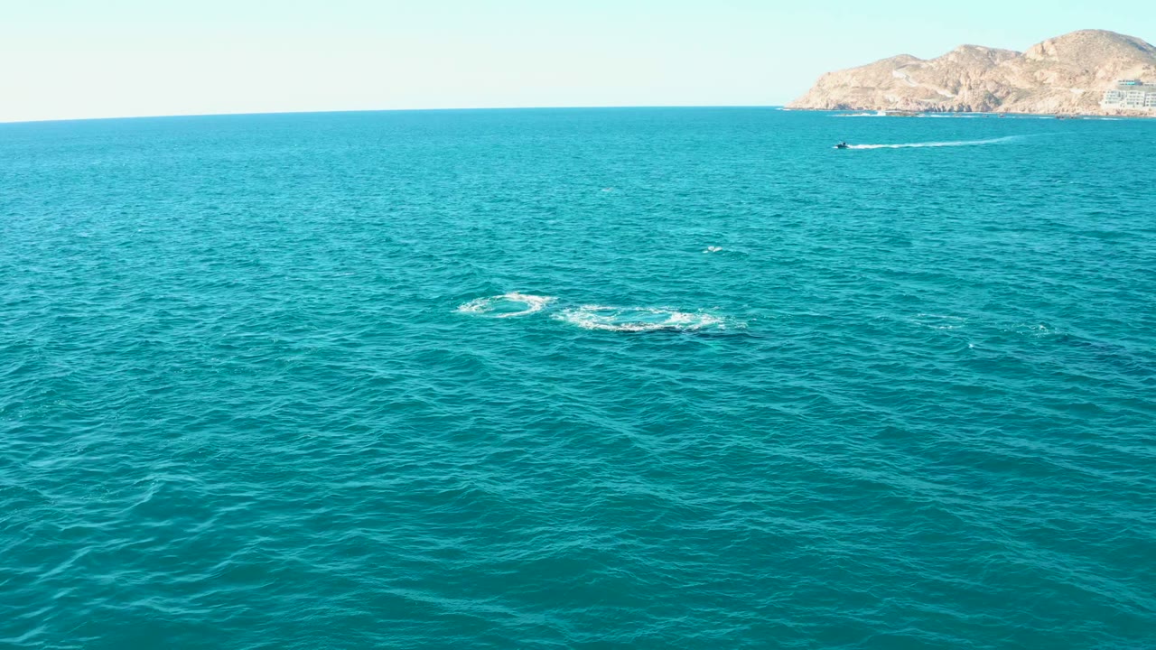 Open blue ocean with a white disturbance on the surface and distant land.