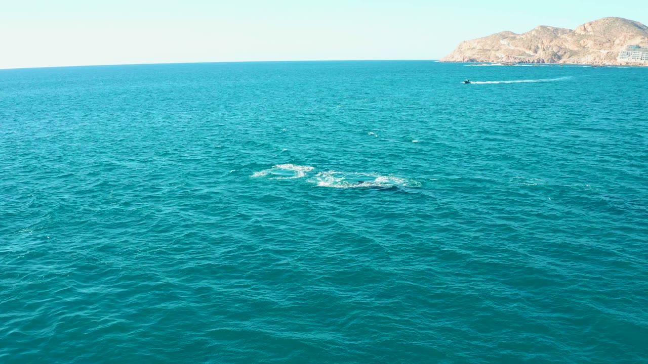 Wide aerial composition over rippled turquoise water at El Tule Los Cabos, with a small pale splash in midwater, rocky land at the horizon, a tiny boat, and no visible people.