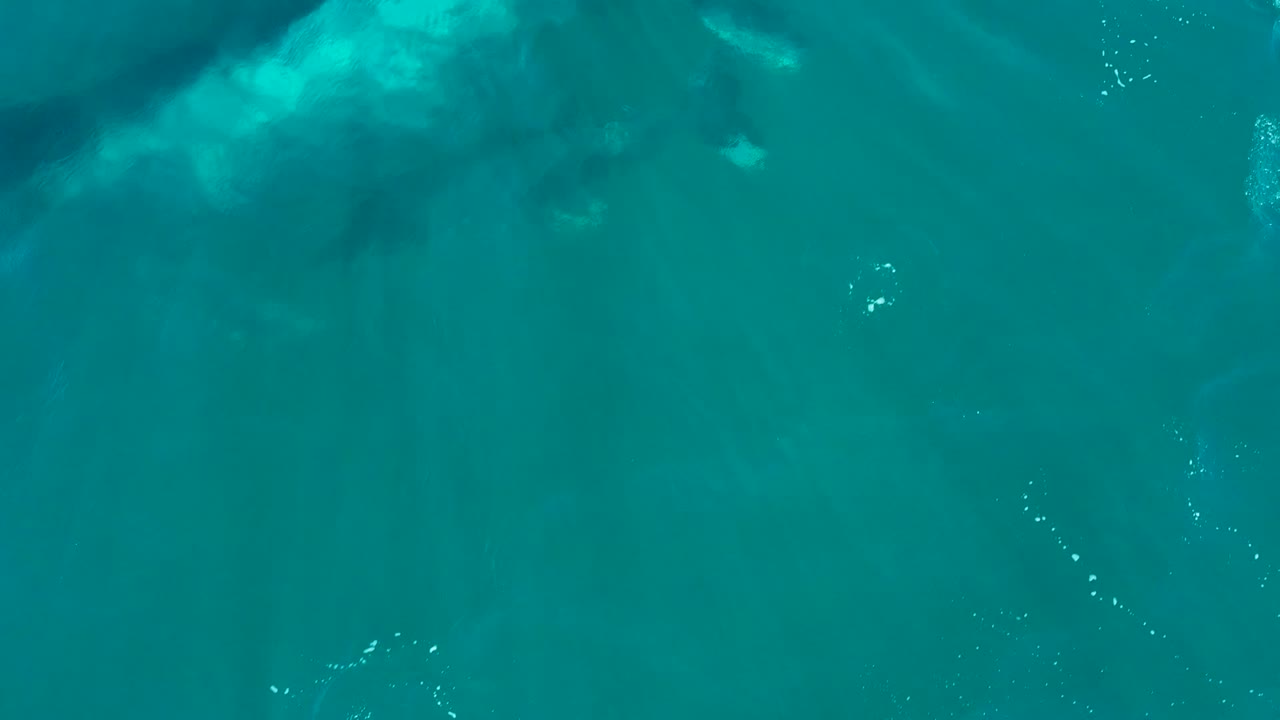 At El Tule Los Cabos, turquoise ocean water fills the frame with a faint dark whale form beneath the surface and no visible people.