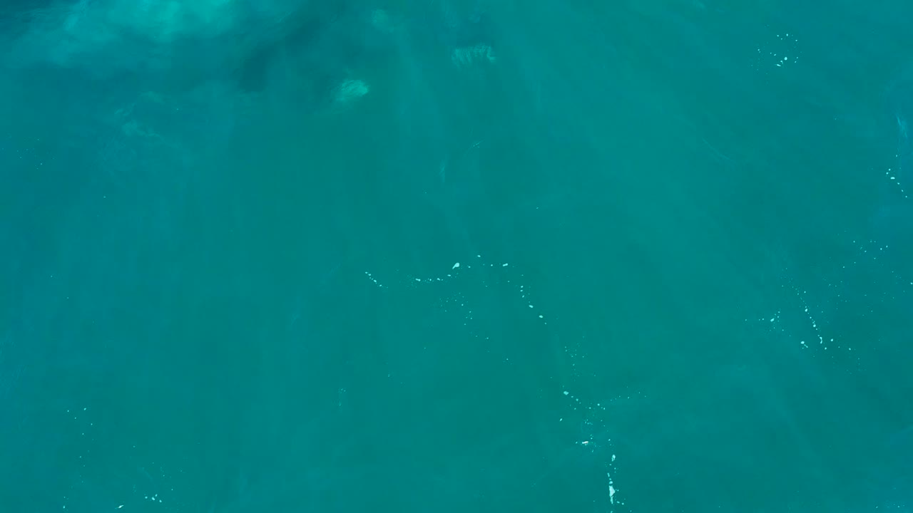 At El Tule Los Cabos, a broad whale form continues below the turquoise surface, partly masked by glare and suspended particles, with no visible people.