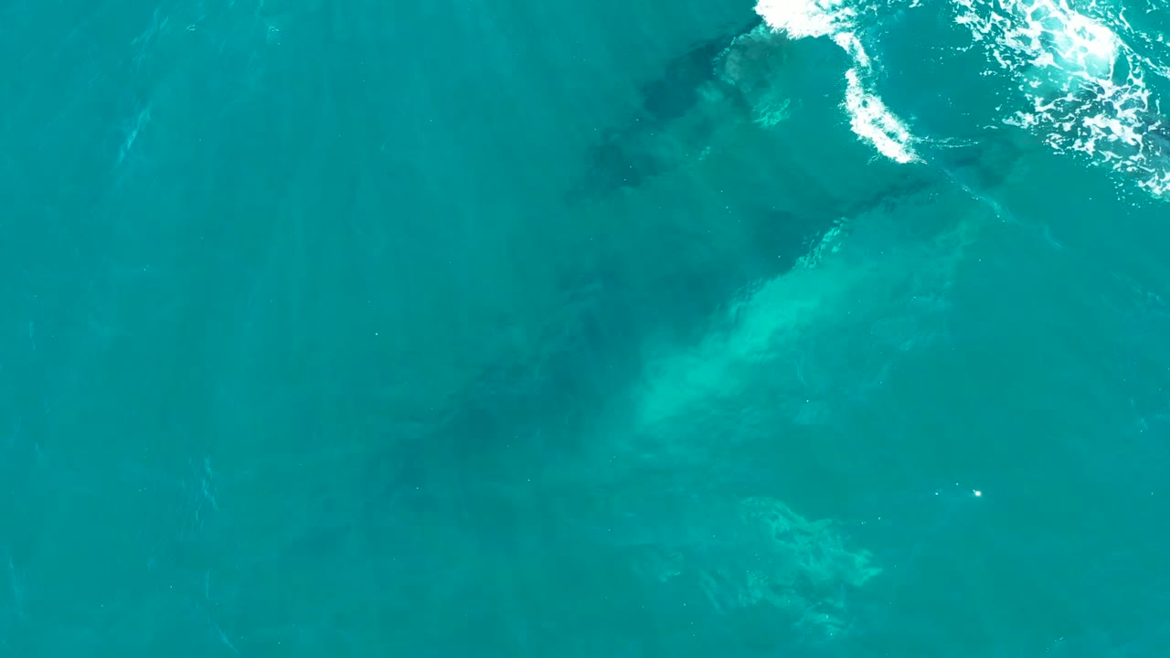 At El Tule Los Cabos, Baja California Sur, a whale appears as a dark submerged form below bright turquoise water, with surface foam near the top edge and no visible people.