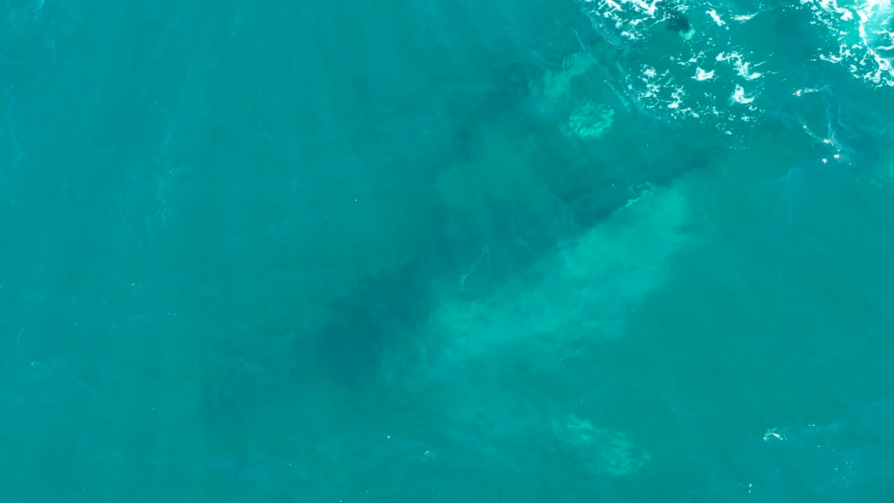 Submerged whale beneath turquoise water with white surface reflections.