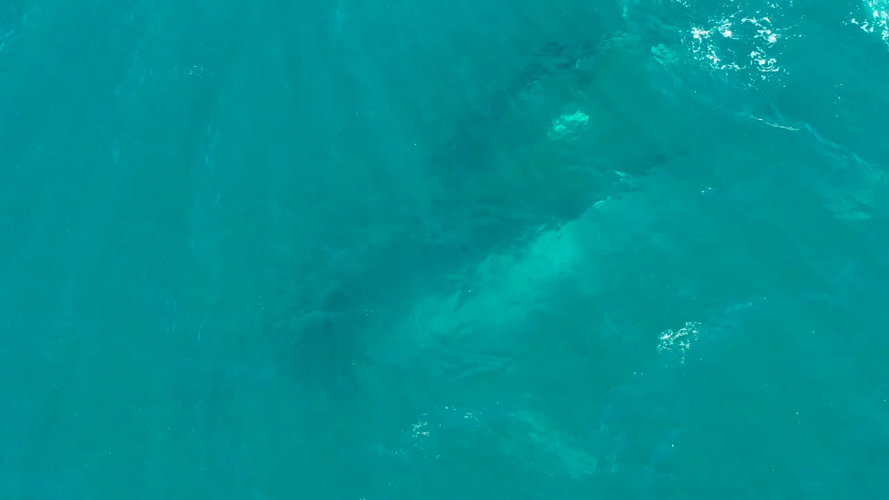 A faint whale form moves beneath clear blue-green water at El Tule Los Cabos, with softer surface texture and no shoreline, boats, or visible people.