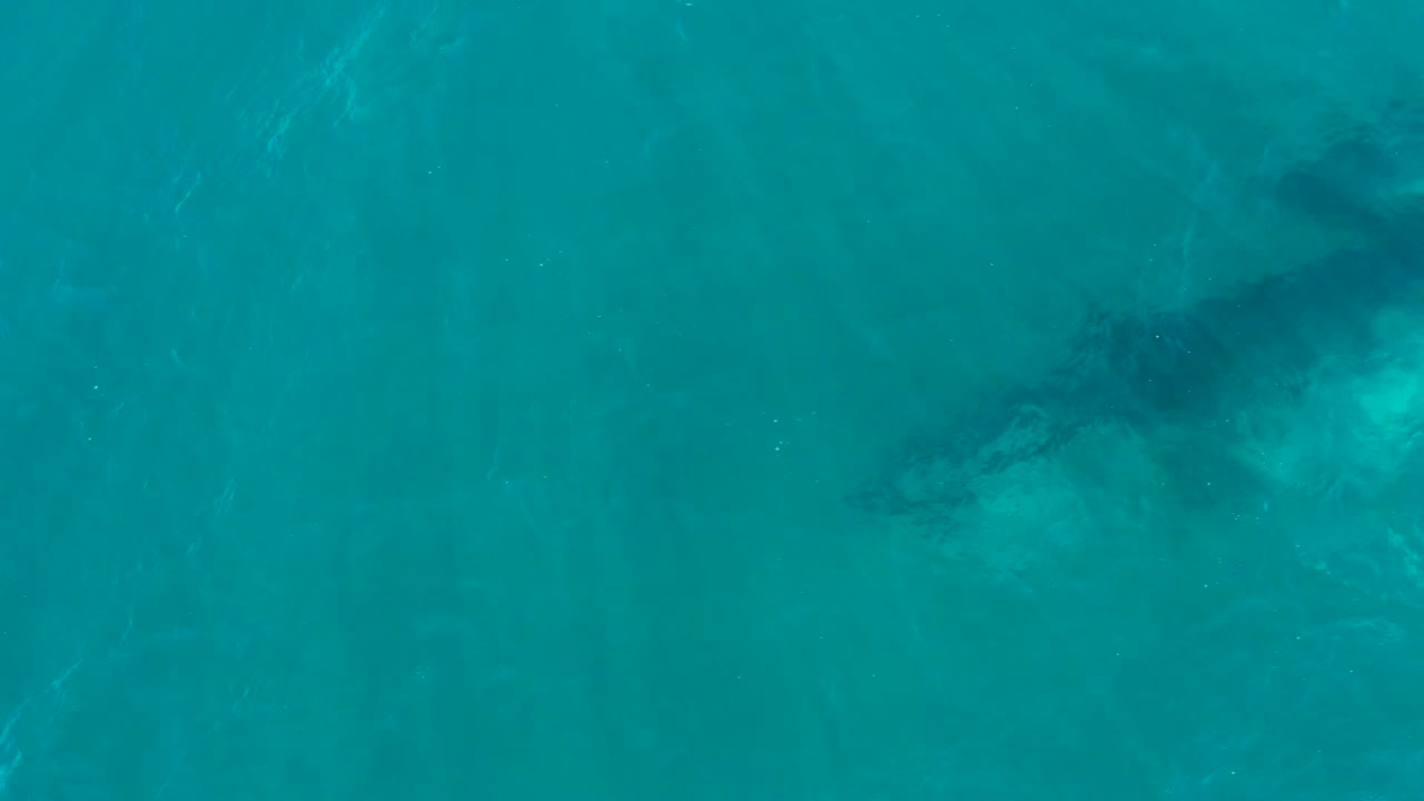 A humpback whale silhouette remains visible beneath turquoise ocean water at El Tule Los Cabos, with brighter patches of reflected light and no visible people.