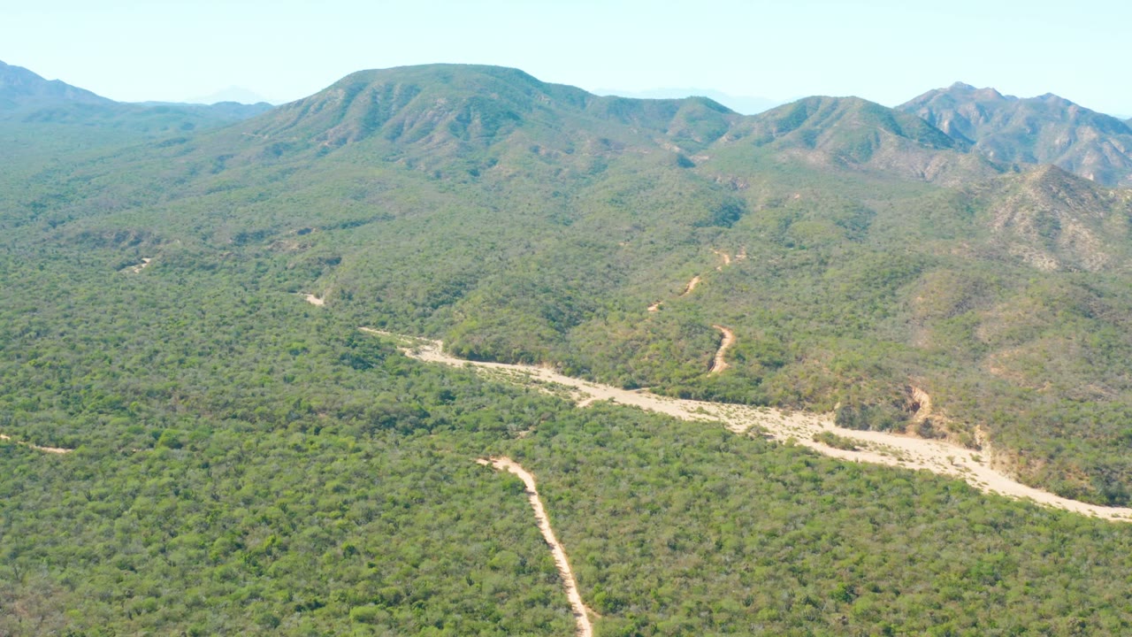 Aerial view over El Salado Viejo Los Cabos, Baja California Sur, with a pale dirt road crossing dense green vegetation toward low mountain ridges and no visible people.