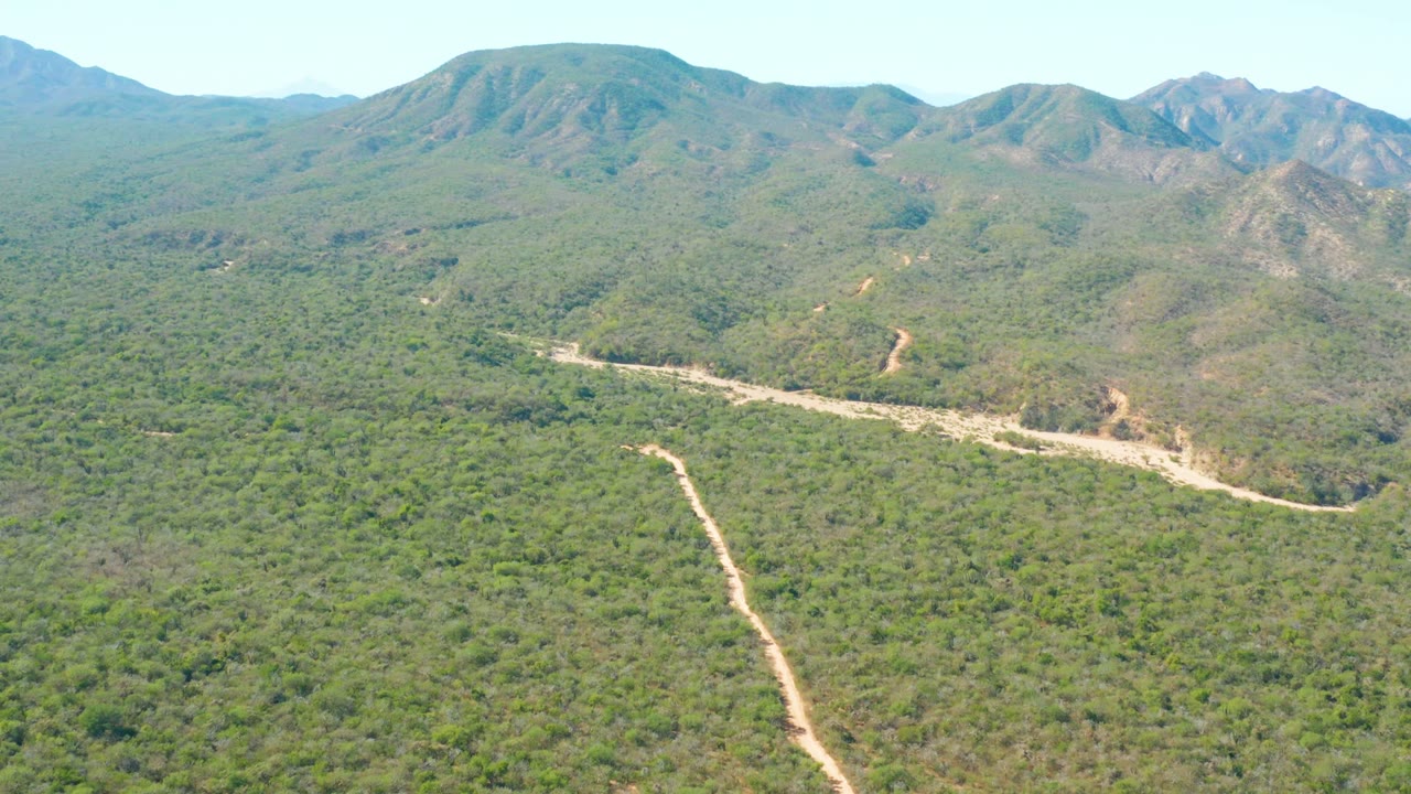 Aerial view over El Salado Viejo Los Cabos, Mexico, with a pale dirt road running through dense green vegetation toward rounded mountains, no visible people.