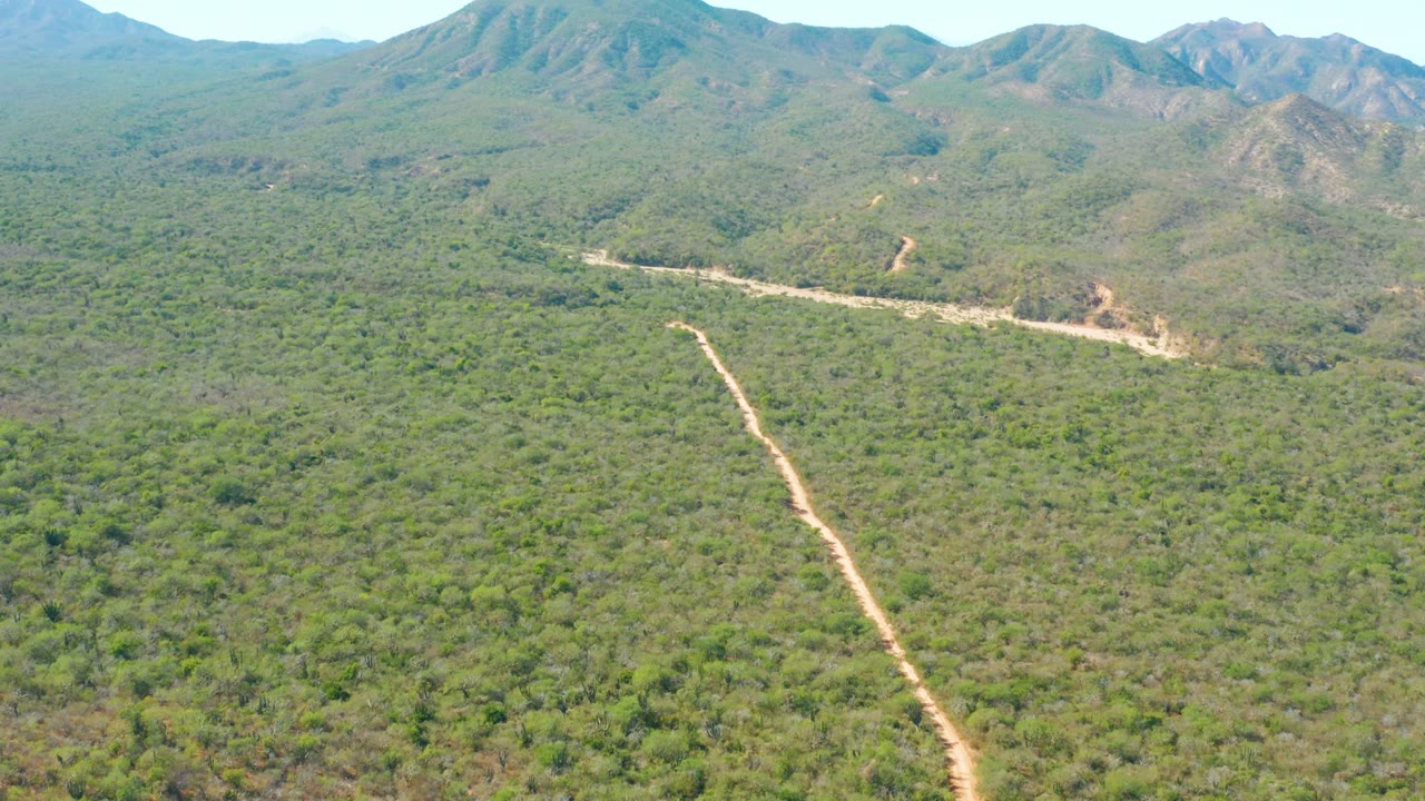 Aerial frame over El Salado Viejo Los Cabos, Baja California Sur, showing a pale dirt road through green vegetation with mountains on the horizon and no visible people.