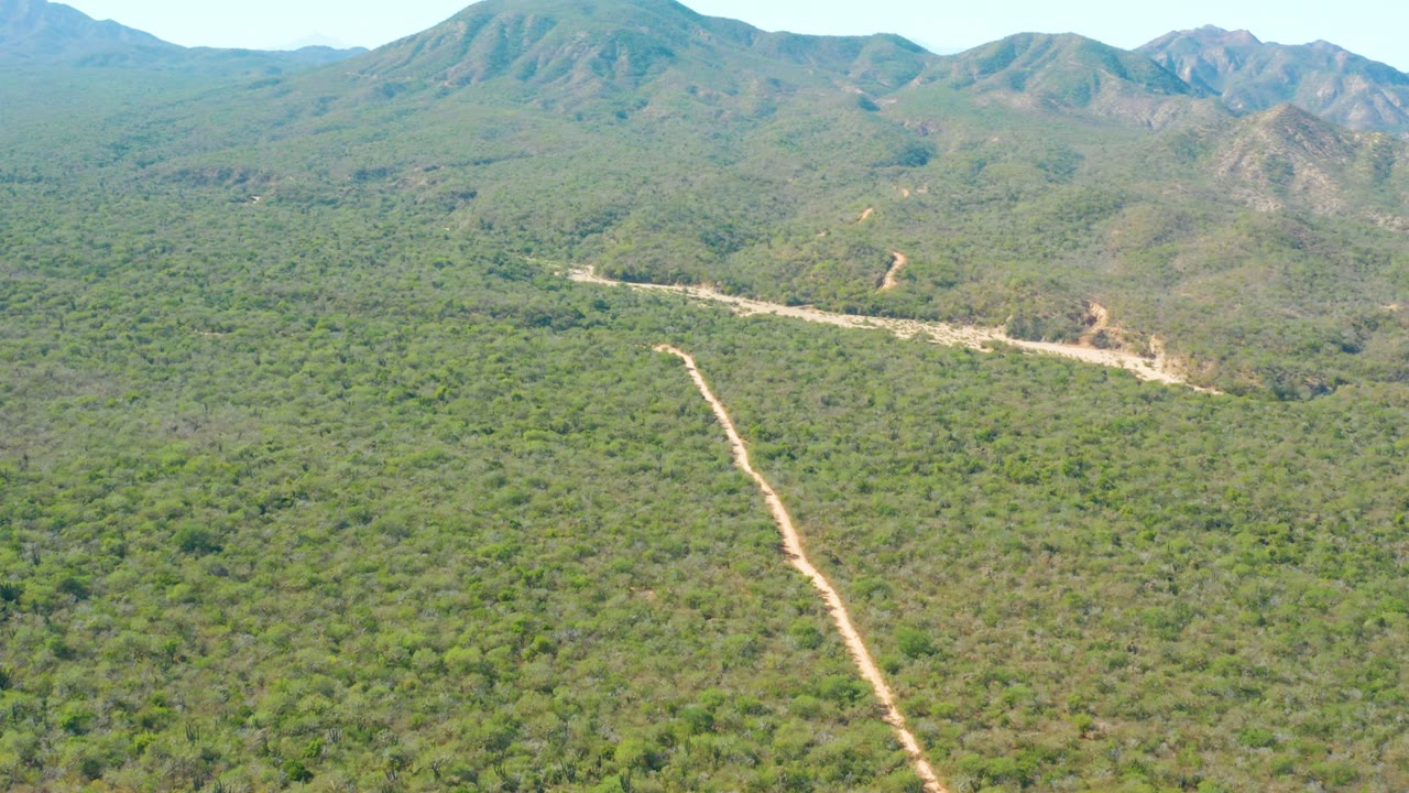 Drone-height frame over El Salado Viejo Los Cabos showing a winding pale road across dense green vegetation, low mountain ridges in back, and no visible people.