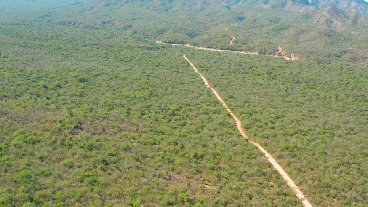 Aerial frame from El Salado Viejo Los Cabos showing a pale dirt road crossing dense green vegetation toward hazy low mountains, with no visible people.