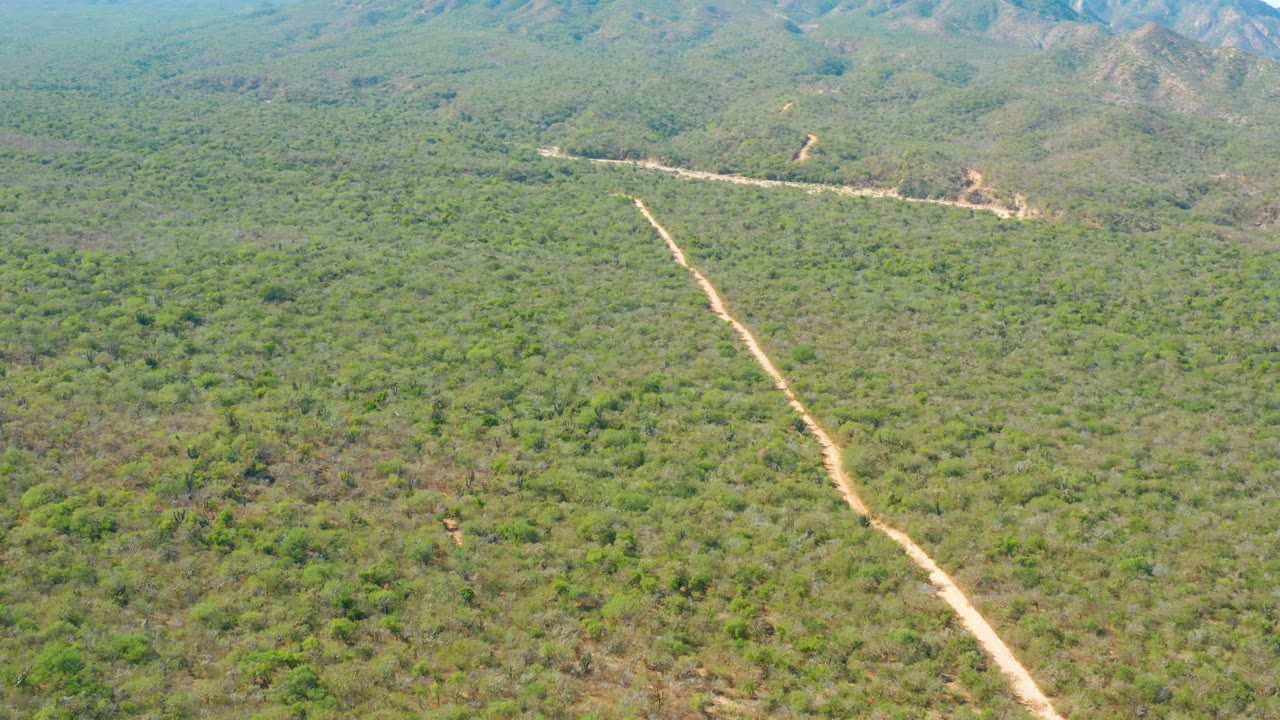 Dirt road runs through dense green brush toward low mountains.