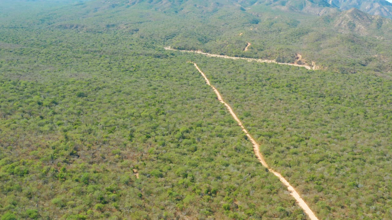 Aerial frame from El Salado Viejo Los Cabos showing the pale road angling upward through dense green terrain, with muted mountains along the top edge and no visible people.