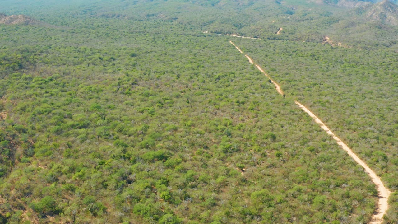 Aerial frame from El Salado Viejo Los Cabos showing a pale dirt road running from the lower center toward distant green hills, with no visible people.