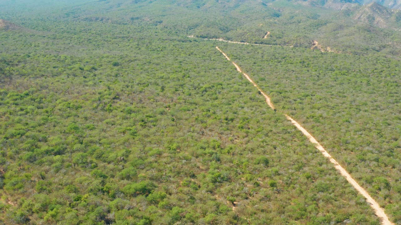 Wide aerial frame from El Salado Viejo Los Cabos showing a light dirt road receding through green brush toward hills in the distance, with no visible people.