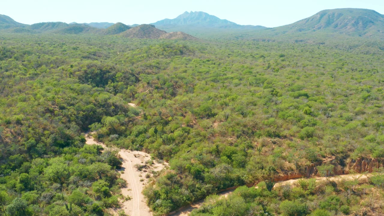 Wide aerial landscape with dense bushland, a curving pale track, and low mountains on the horizon.