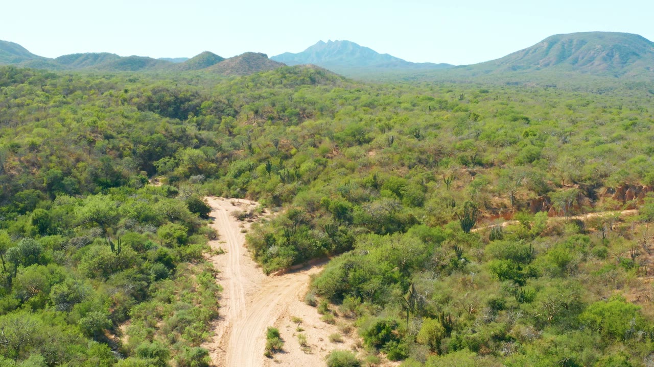 A wide aerial frame over El Salado Viejo Los Cabos with the dirt road curving through lower brush, a red exposed bank to the right, layered green terrain, mountains, and no visible people.