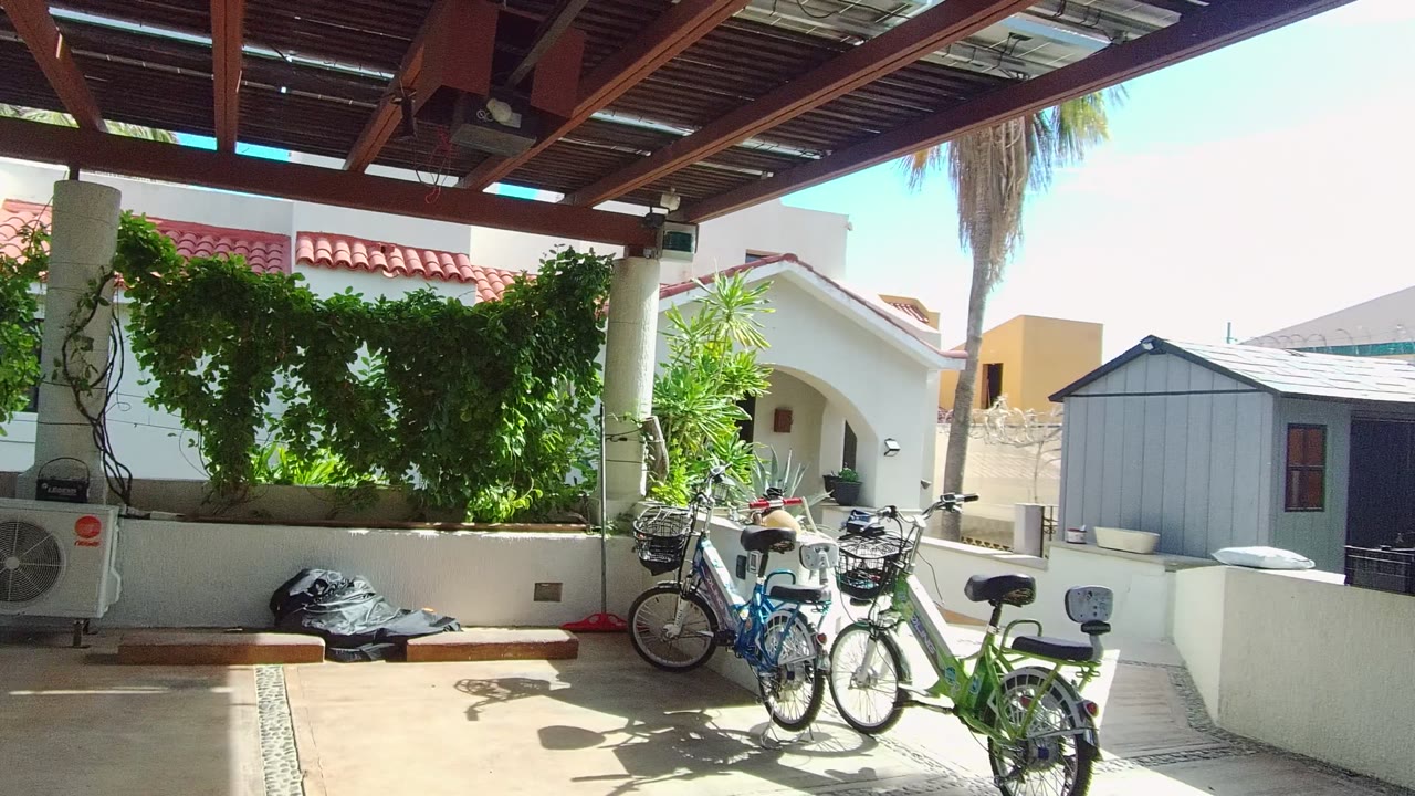 Bright East Cape Los Cabos patio frame with two bicycles at right, dense green vines on a white wall, roof beams overhead, a white arched building behind, and no visible people.