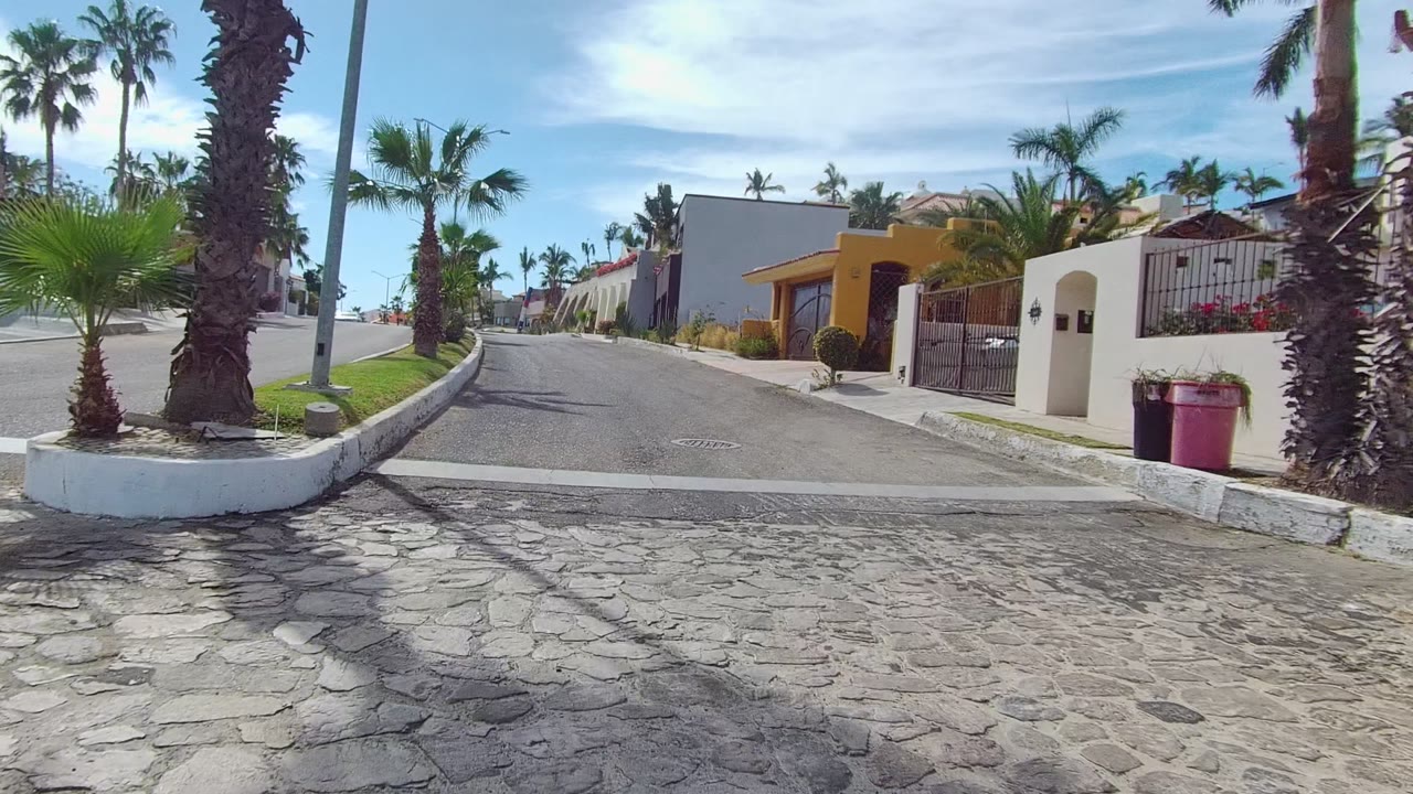 A paved residential street in Los Cabos, Baja California Sur, with palm trees, white curbs, gated homes, a yellow house, and no visible people.