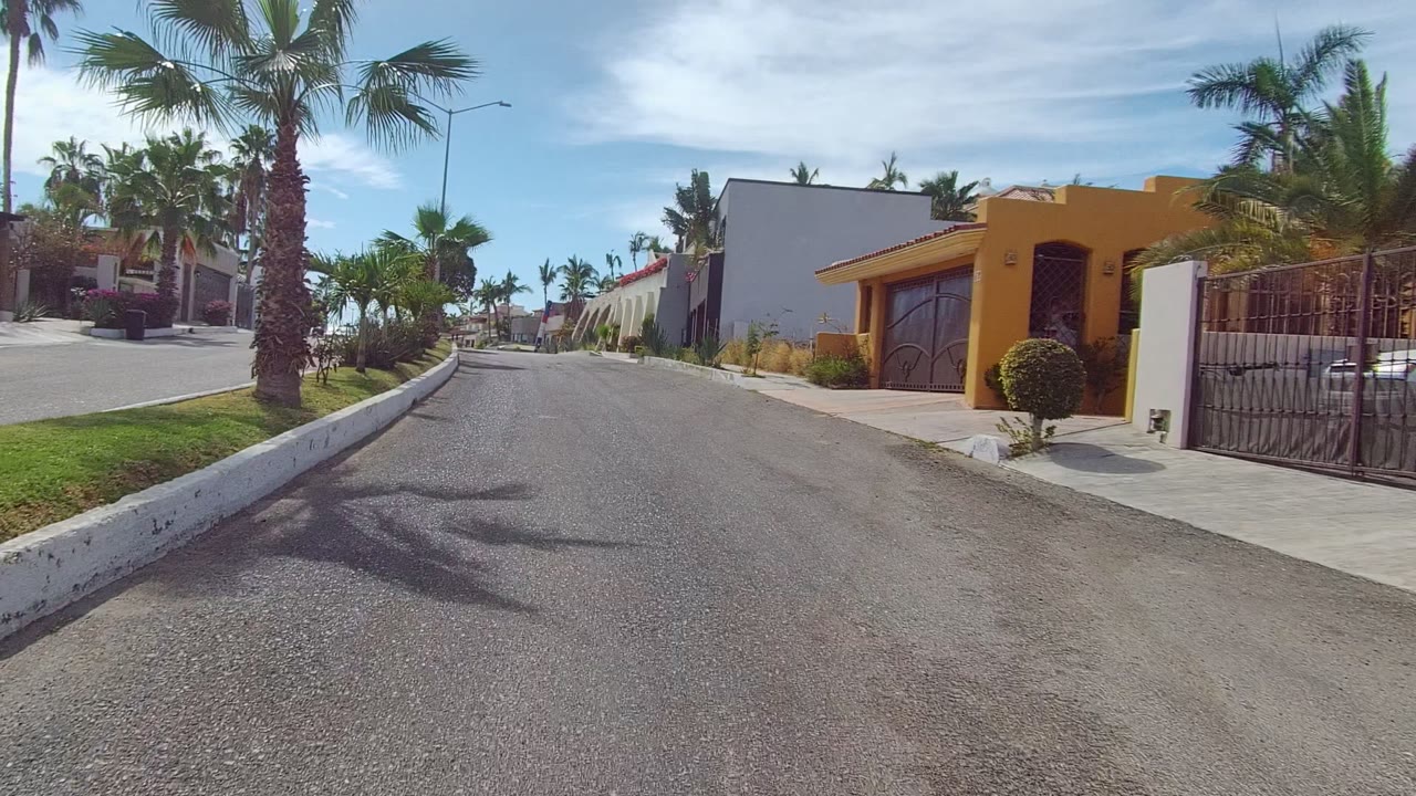 Residential road with palms, gated house, and garden walls