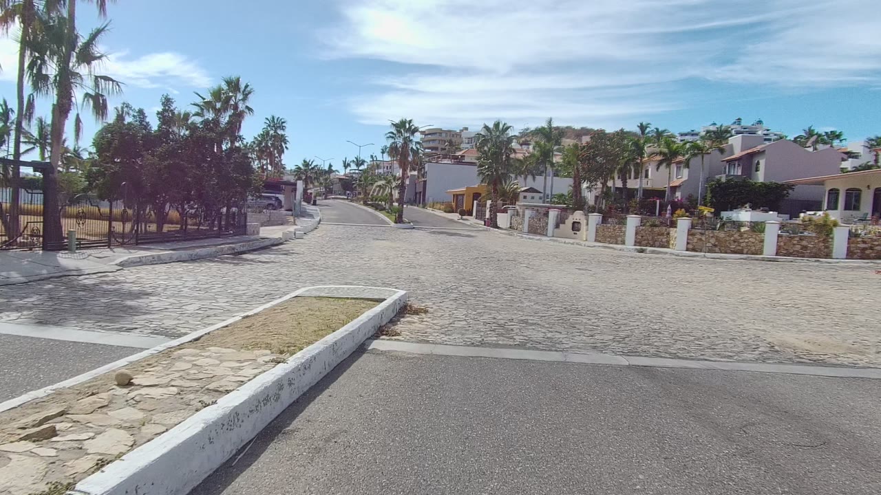 Cobblestone street curving through a residential area with palms, white walls, and low buildings.