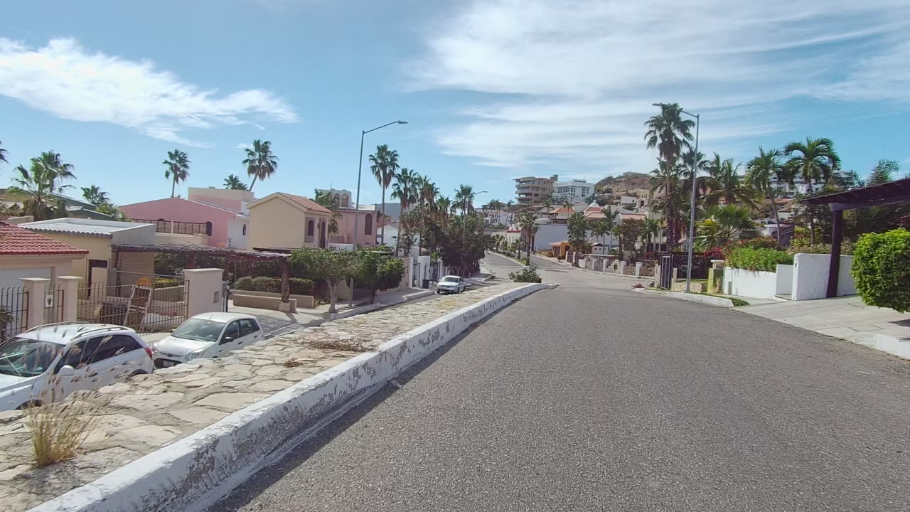 Residential street with palm trees, stucco houses, white curbs, and parked cars.