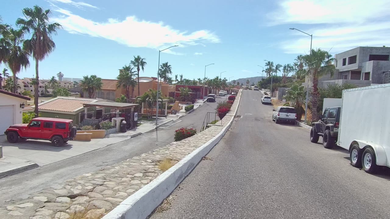 Palm-lined residential street with red Jeep, houses, sidewalks, and parked cars.