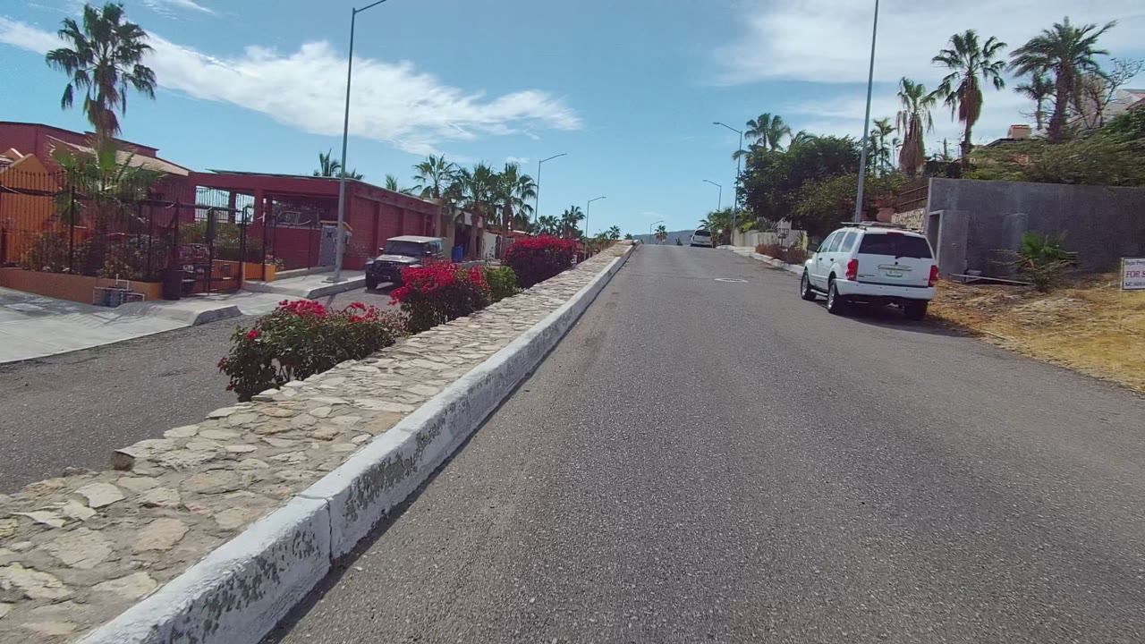 Opening frame of an uphill residential street in Los Cabos with parked cars, palm trees, red flowering shrubs, stone curb, walled homes, blue sky, and no visible people.