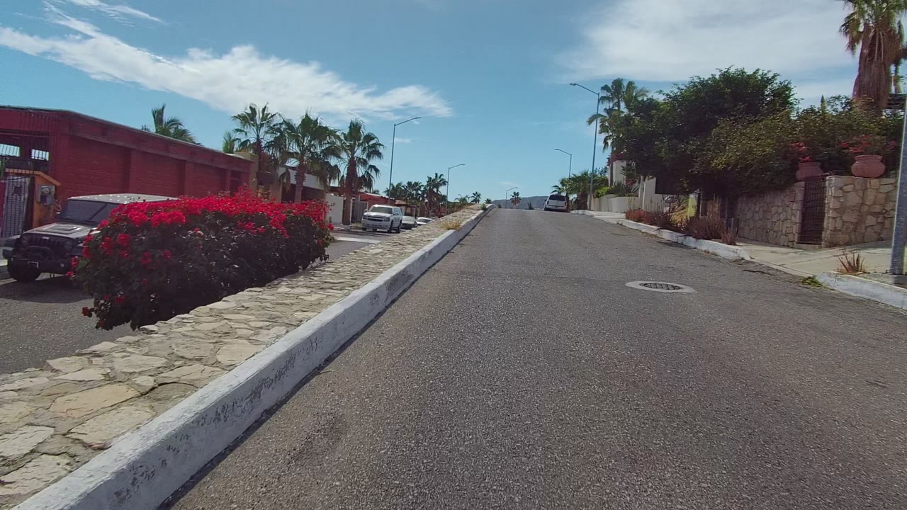 Residential street with white SUV, palm trees, walled homes, and bright sky.