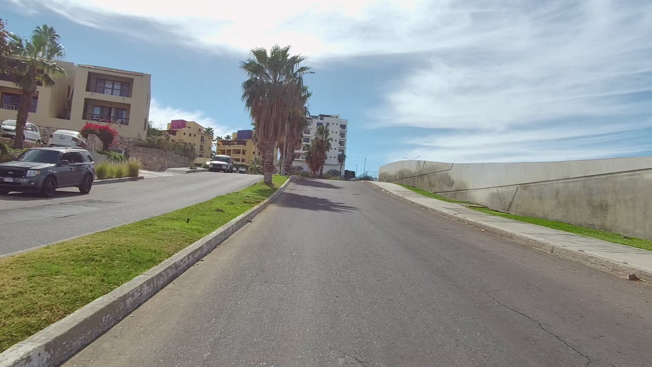 Forward street view in Los Cabos, Baja California Sur, with an open lane, a low concrete wall on the right, a leafy tree near the curb, distant palms and buildings, and no visible people.