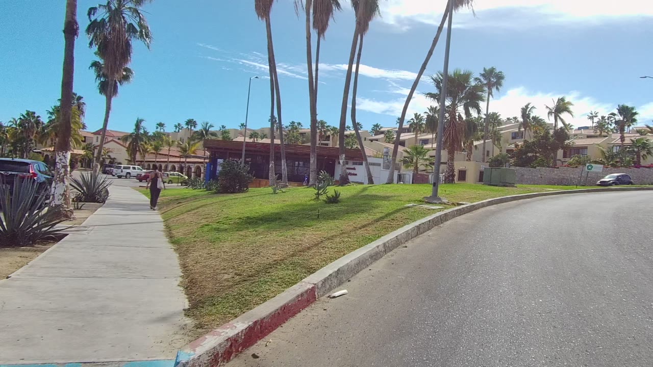 Residential road curving past palms, sidewalk, grass, and a parked dark vehicle.