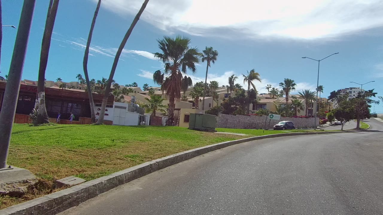 Street-level Los Cabos frame with a broad road foreground, grassy verge, palm trunks, white perimeter walls, residential buildings, and no visible people.