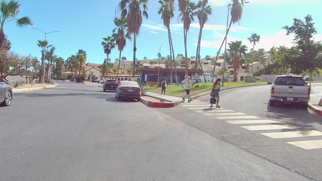 Pedestrians continue across a crosswalk as cars pass through a palm-lined residential intersection.
