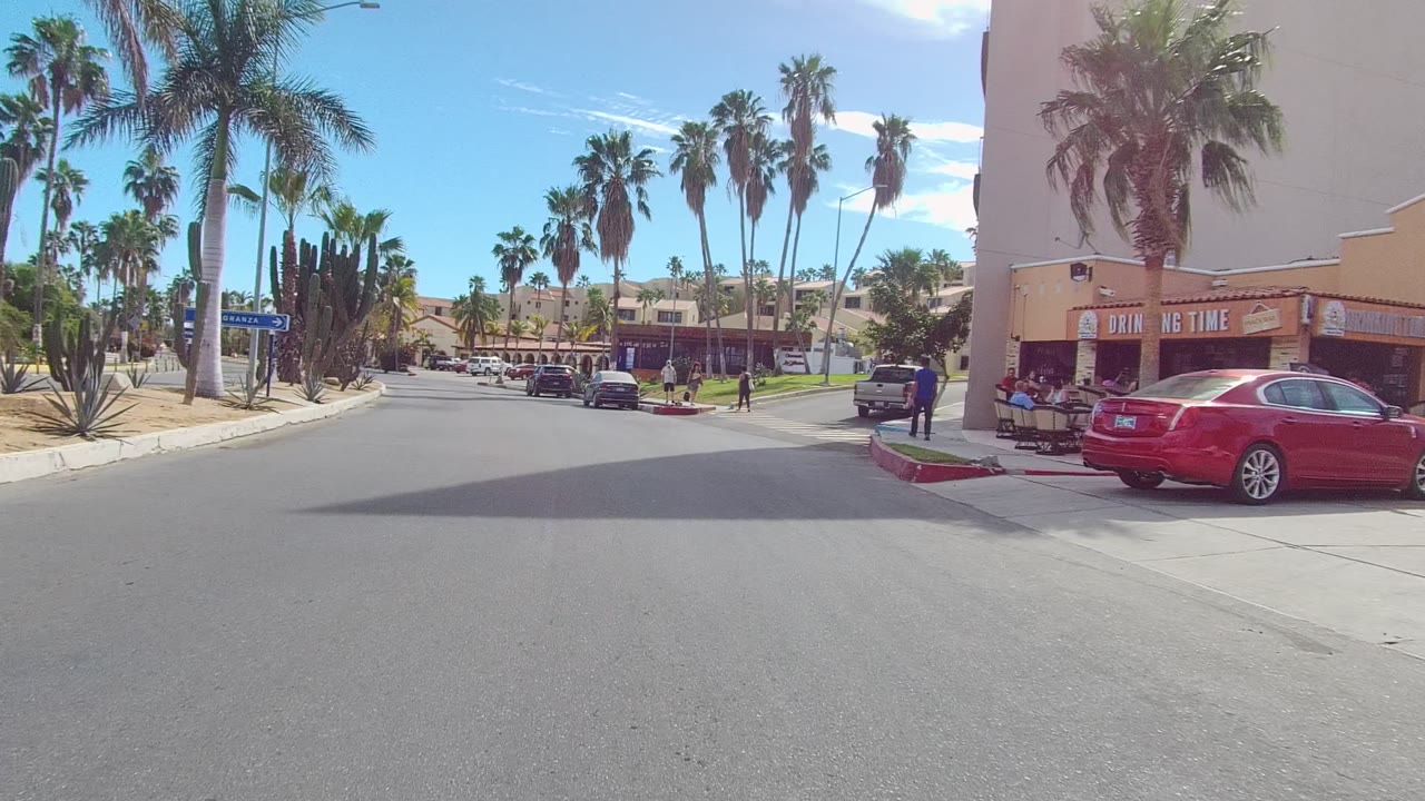 Urban road with palms, cactus plantings, cars, and a pedestrian near storefronts.