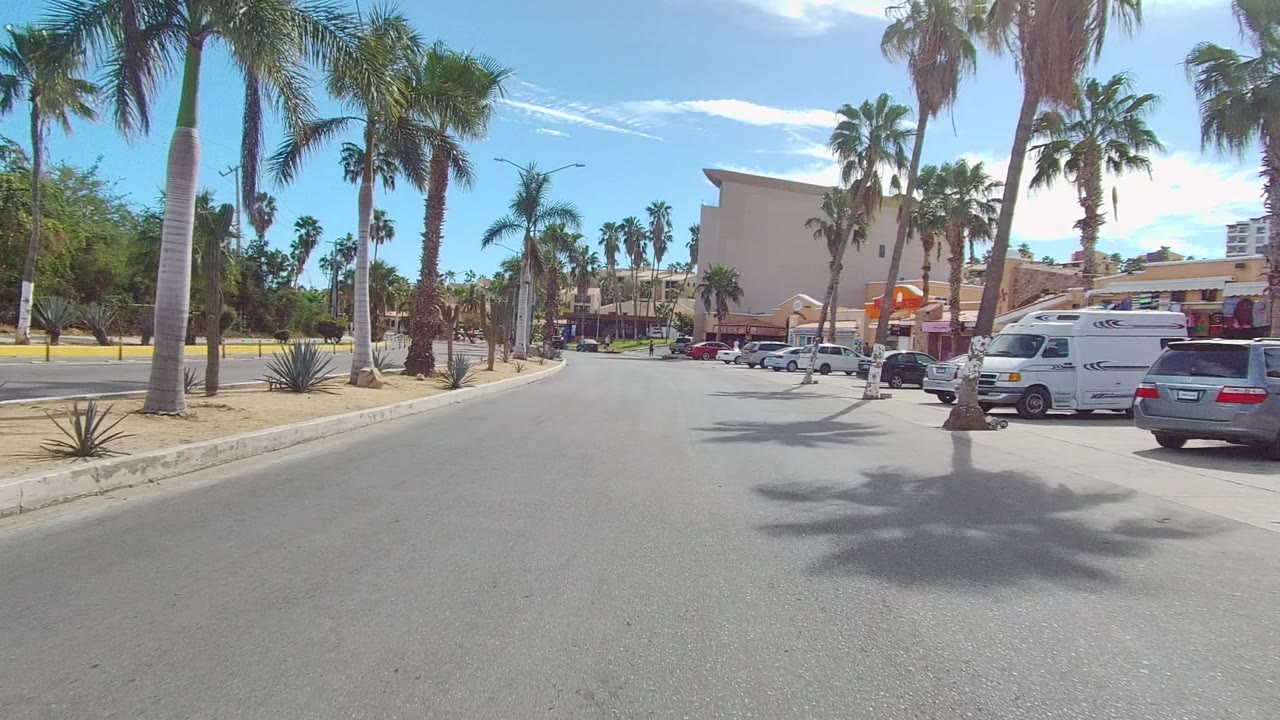 Street view with palms, parked cars, and a beige building under blue sky.
