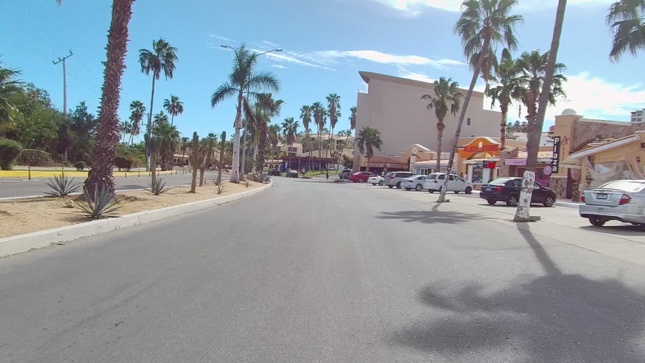 Forward-looking Los Cabos street frame with a broad paved lane, palms on both sides, storefronts and parked cars to the right, and no visible people.