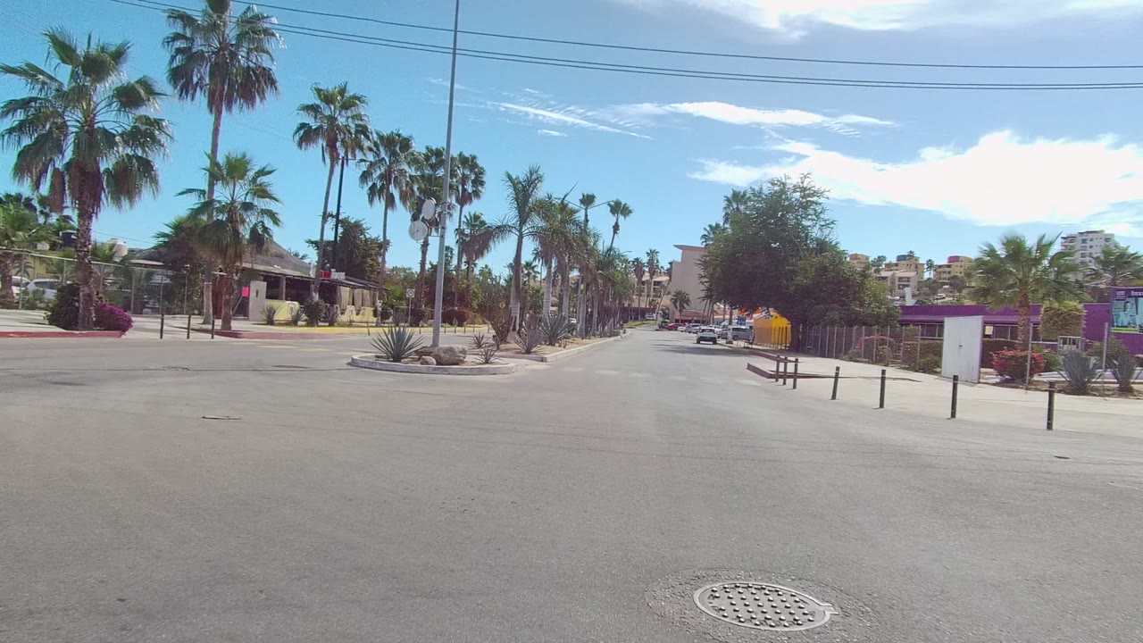 Start of a street-level view in Los Cabos, Baja California Sur, with a crosswalk, palm trees, desert plants, low buildings, and no visible people.