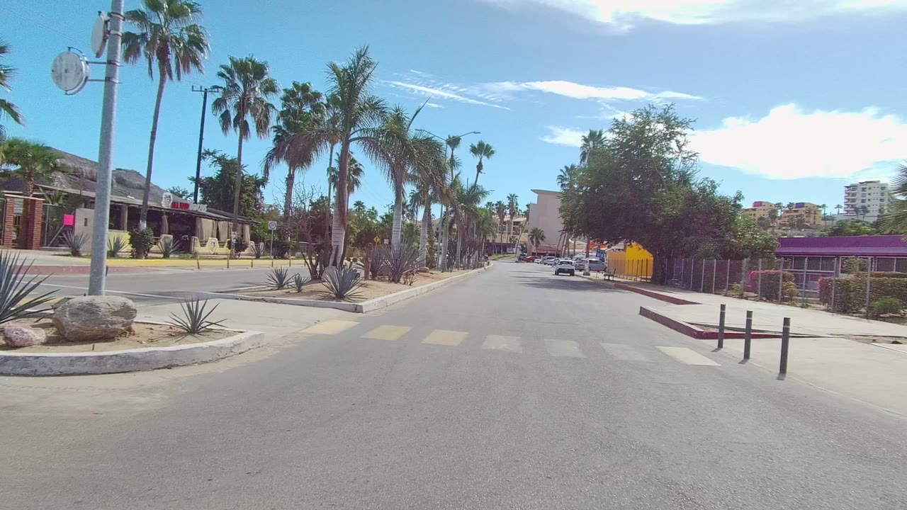 Wide urban road bordered by palms, cacti, buildings, and a yellow wall on the right.