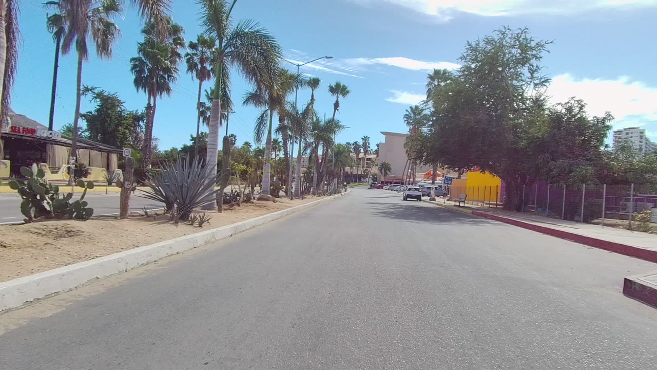 Midway into the Los Cabos clip, the centered road leads toward several cars, with palms, cacti, a yellow wall, roadside buildings, and no visible people.
