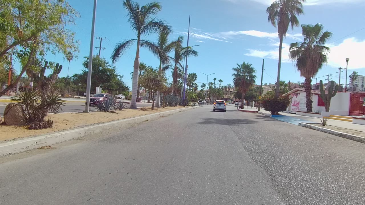 Opening view of a palm-lined suburban road in East Cape Los Cabos, Mexico, with cacti, sidewalks, utility poles, cars ahead, and no visible people.