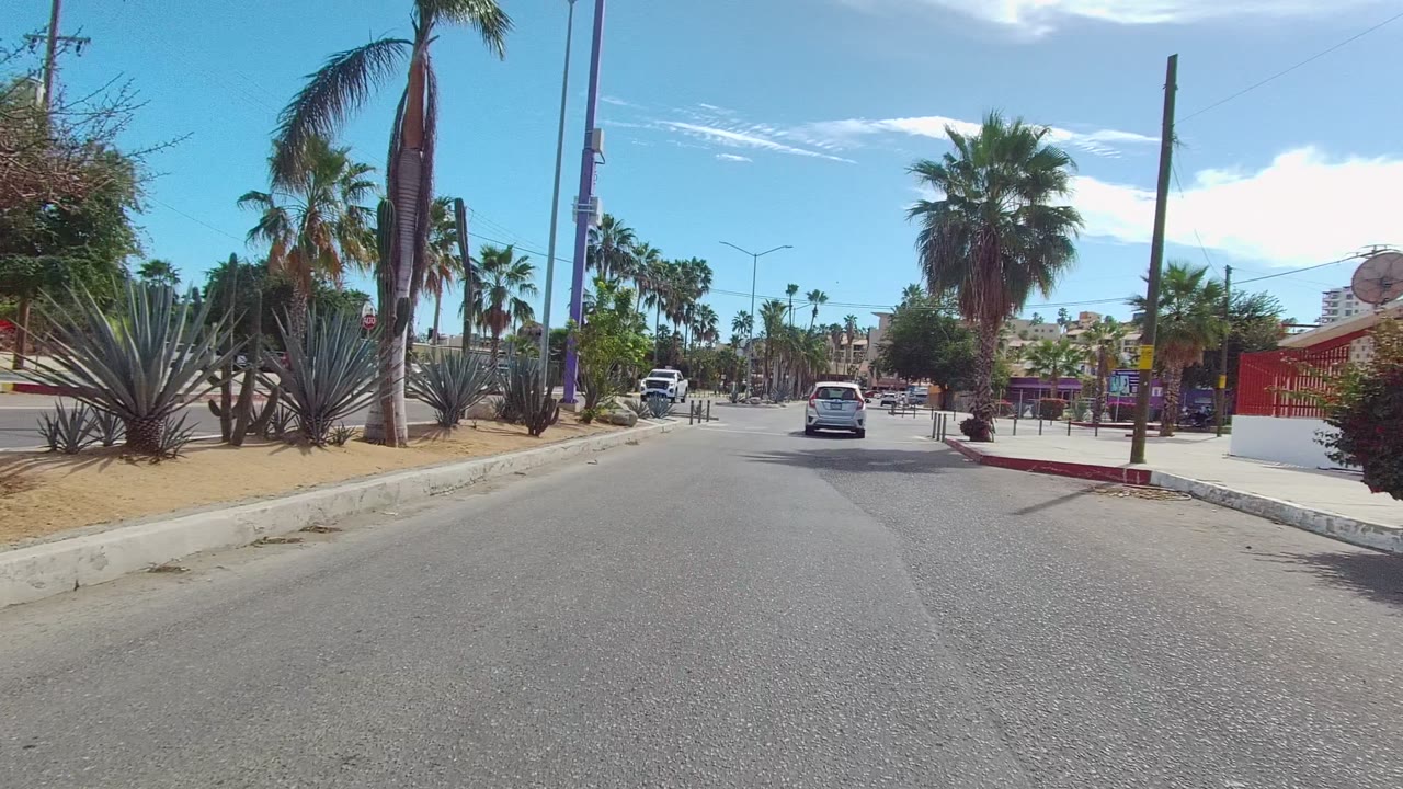 Sunny East Cape Los Cabos street scene with agave-like plants and palms beside the curb, cars ahead and parked near buildings, and no visible people.